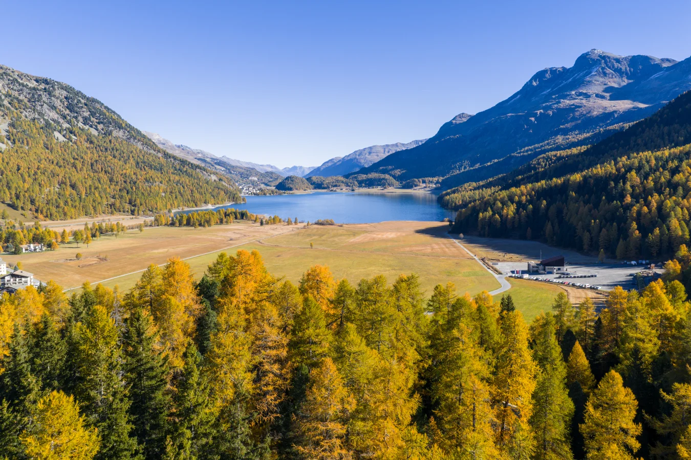Le lac de Sils à Sils Maria vu à travers des mélèzes dorés, avec les montagnes de l’Engadine derrière