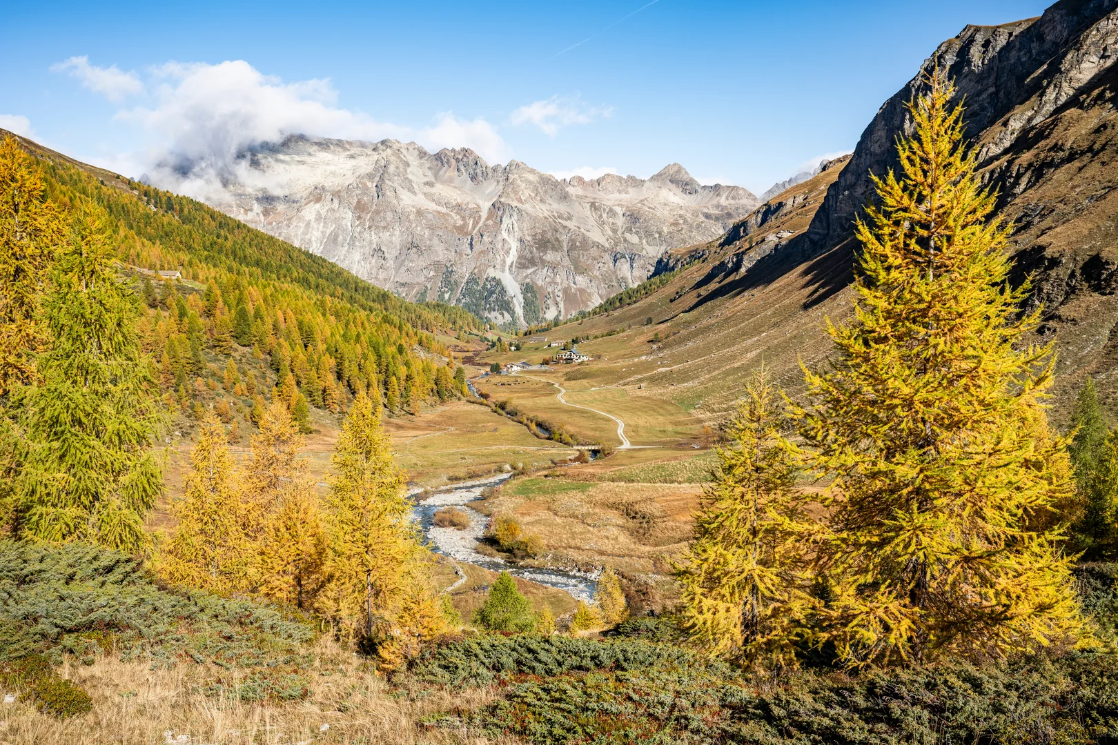 The Fex valley floor above Sils Maria in autumn, its stream winding between golden larches with rocky peaks on both sides