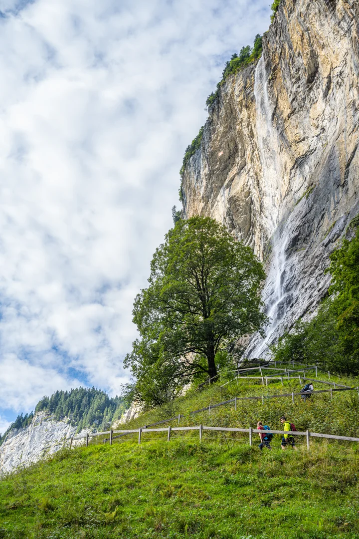 Der Staubbachfall stürzt von der Felswand über Lauterbrunnen, ein Fussweg mit Holzzaun führt über die grüne Wiese zum Fuss des Falls