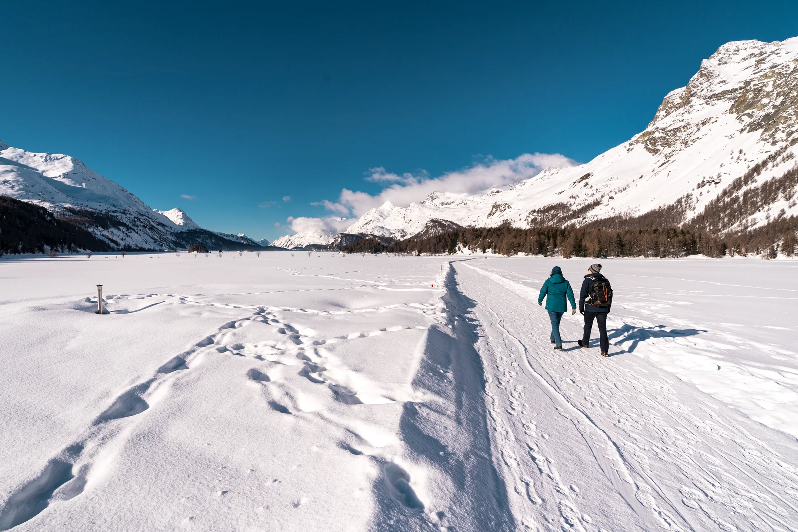Due escursionisti sul sentiero invernale battuto attraverso il Lago di Sils ghiacciato sotto un cielo azzurro