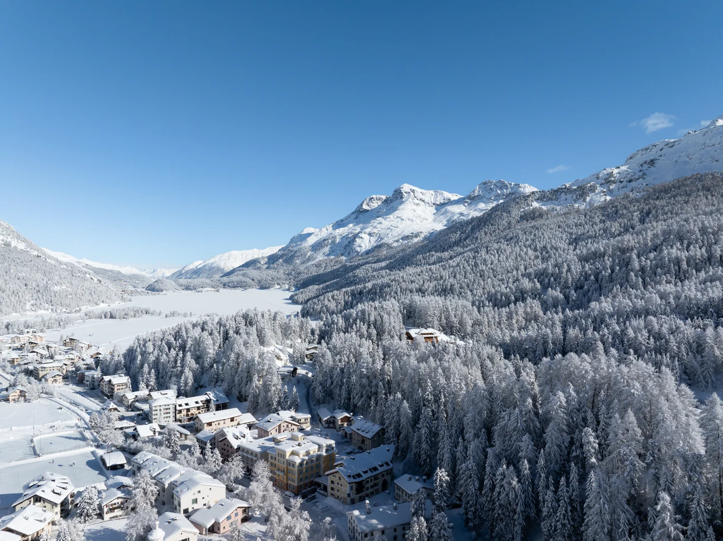 Bosco innevato sul versante sopra Sils Maria, con il villaggio in basso e le cime alle spalle