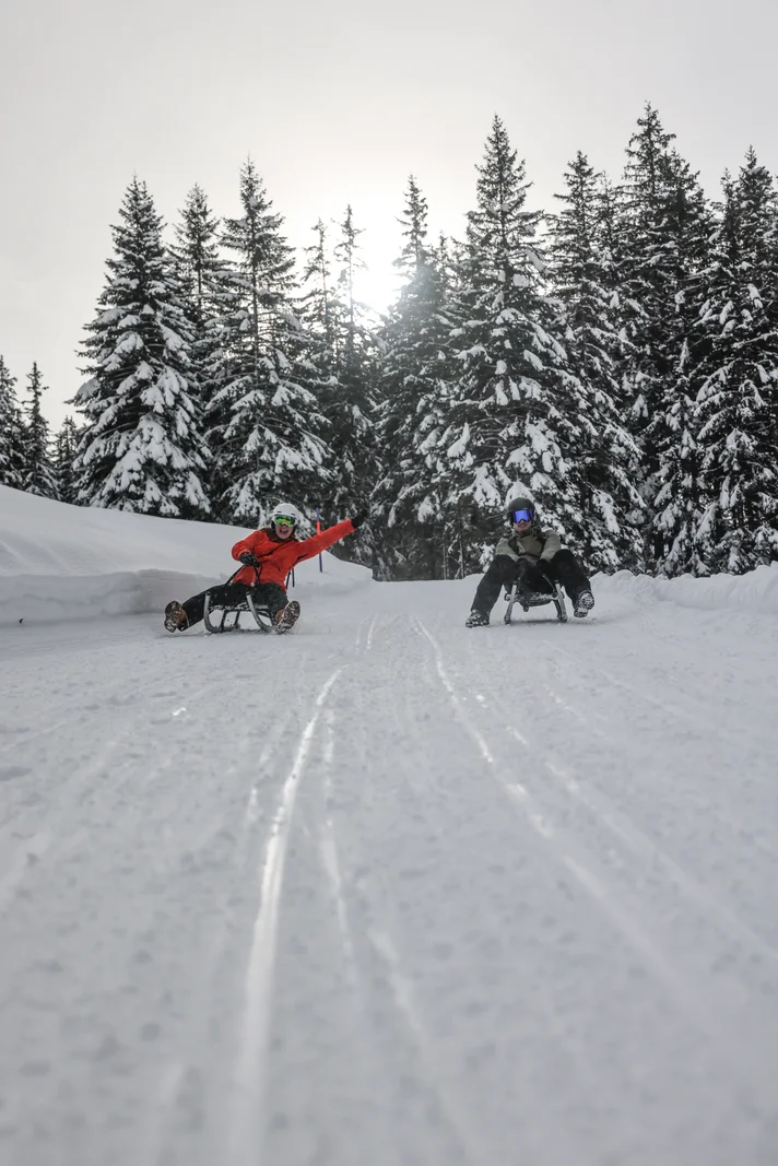Slittini in un tratto di bosco innevato sulla pista che scende a Wengen