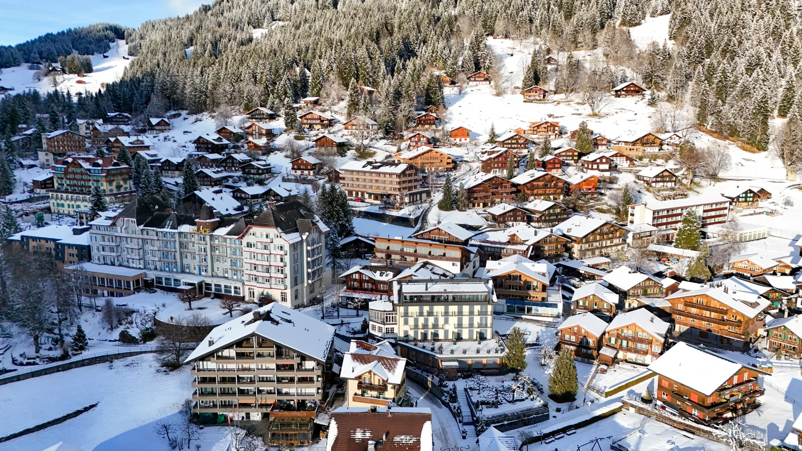 Aerial view of Wengen village under snow, with chalets and hotel buildings on the slope and forest above