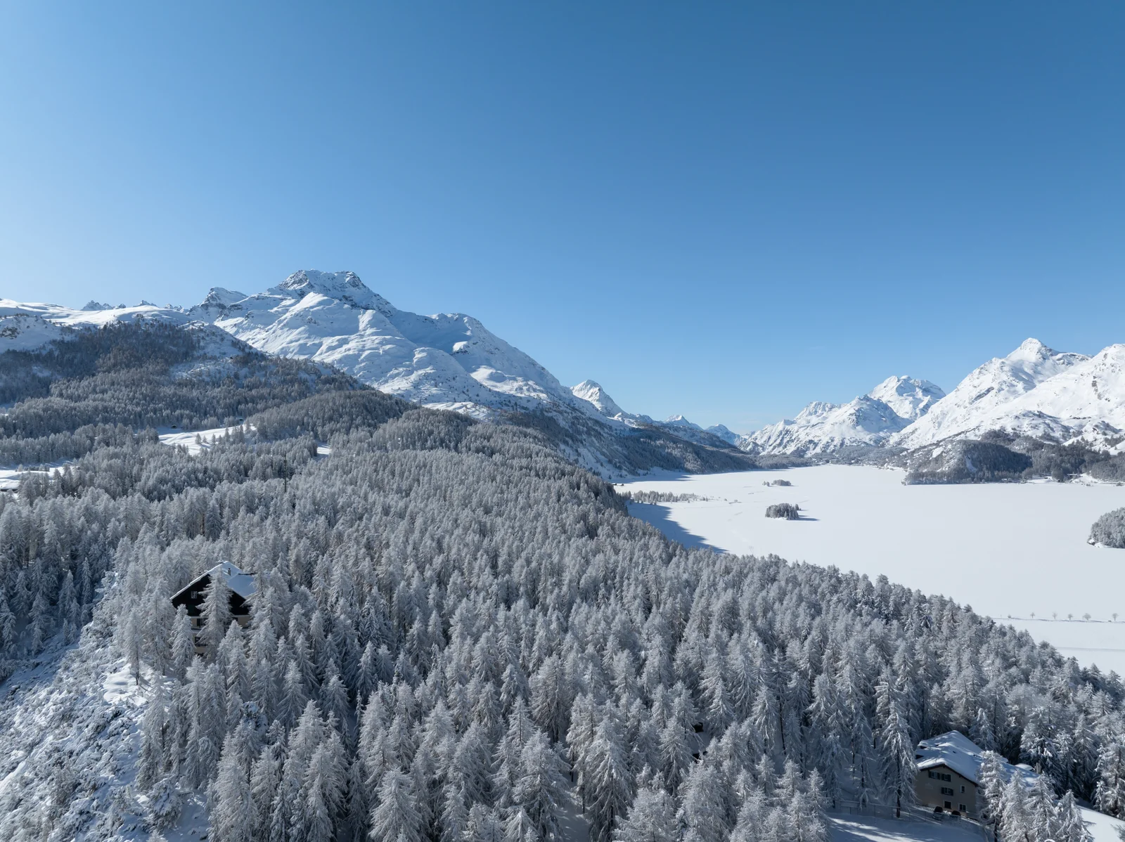 Engadin lake landscape in winter with snow-covered forest