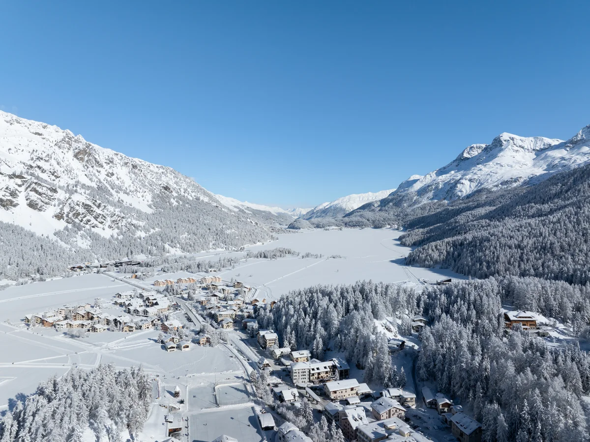 La Haute-Engadine en hiver, forêt et montagnes enneigées