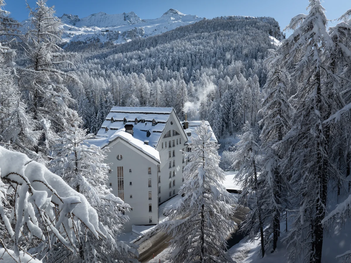 Schweizerhof, Sils Maria parmi les mélèzes et les épicéas enneigés