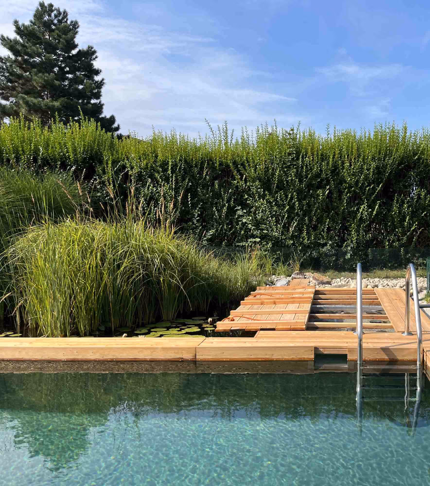 Naturpool inklusive Filterbecken mit Lärchenholzverkleidung.
