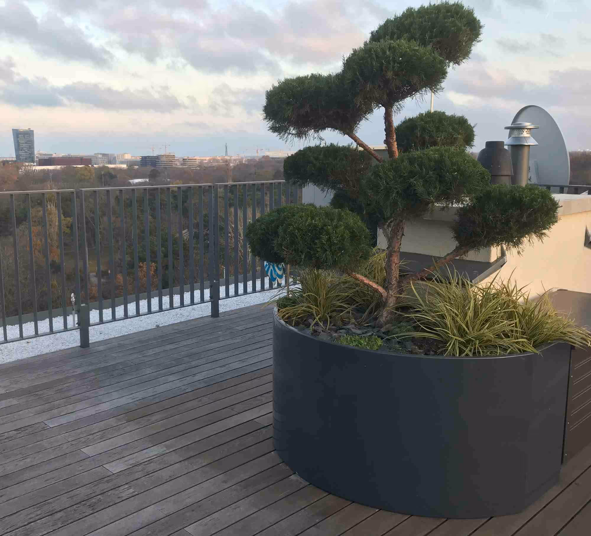 Runder, dunkelgrauer Pflanzkübel mit geformtem Bonsai-Baum auf Holzteerrasse.