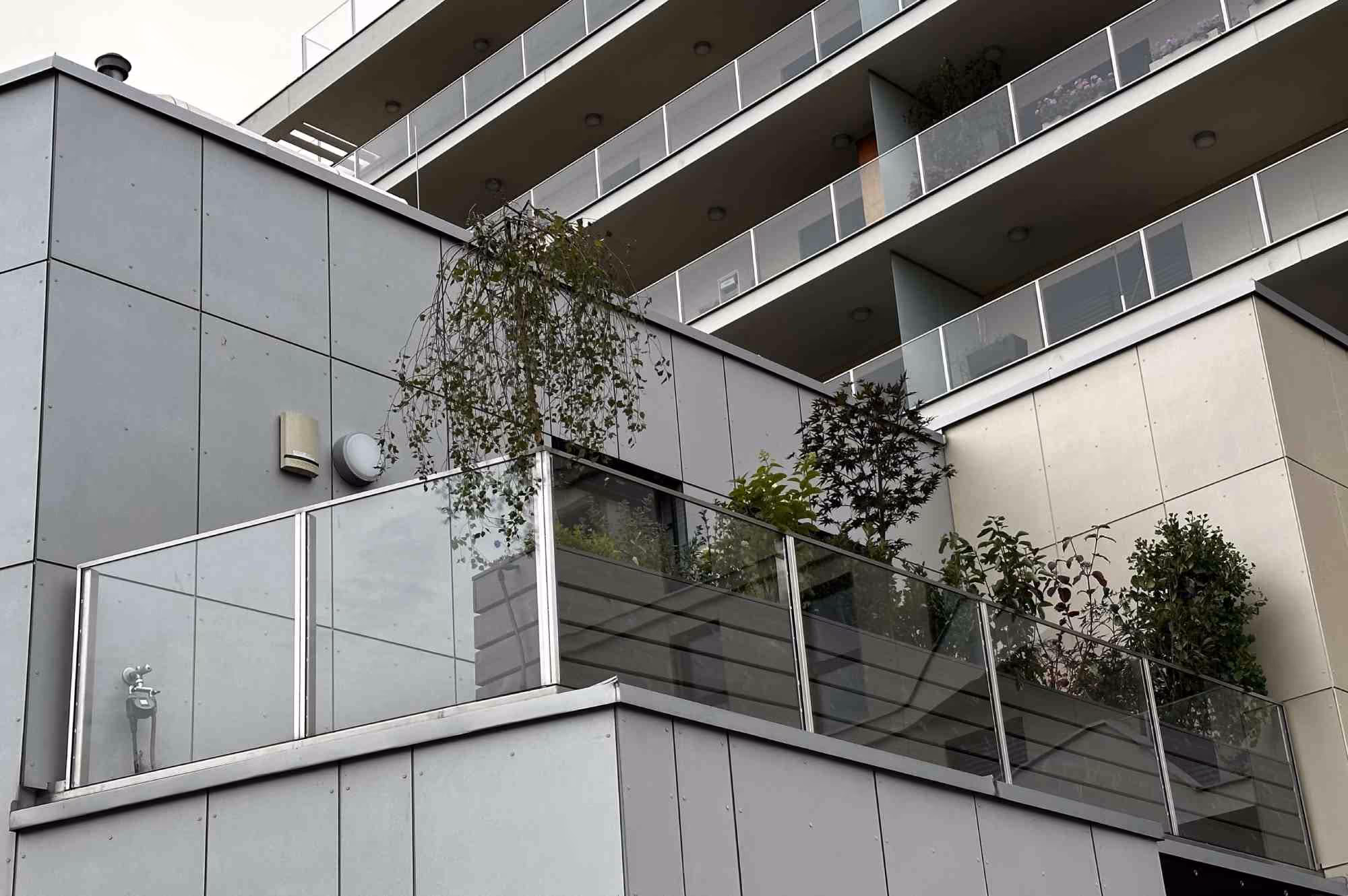 Dachterrasse mit modernem Glasgeländer und zurückhaltender Bepflanzung entlang der Fassade