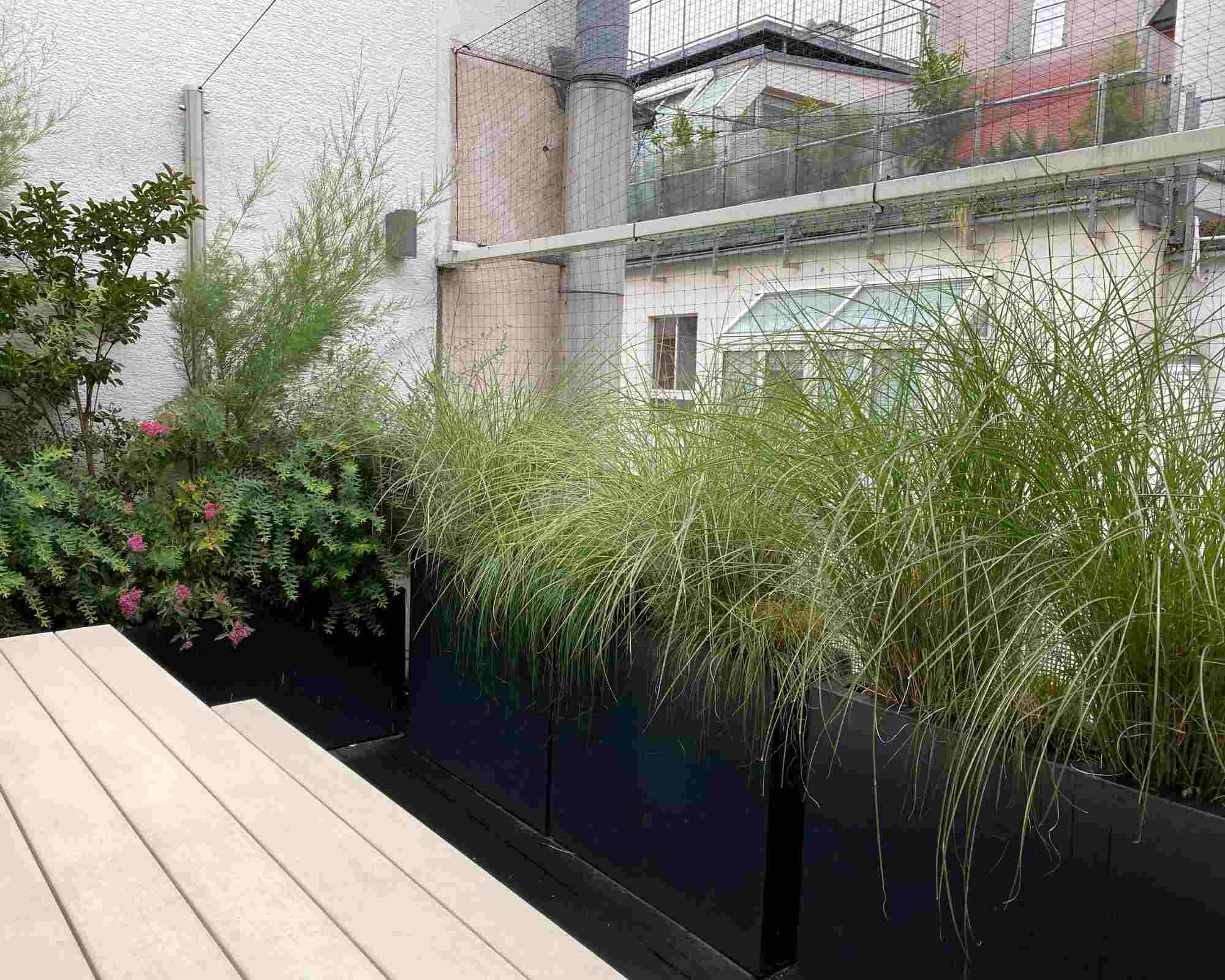 Gemütliche Terrasse mit Holzboden und hohen Pflanztrögen mit Schilfgras als grüne Abgrenzung
