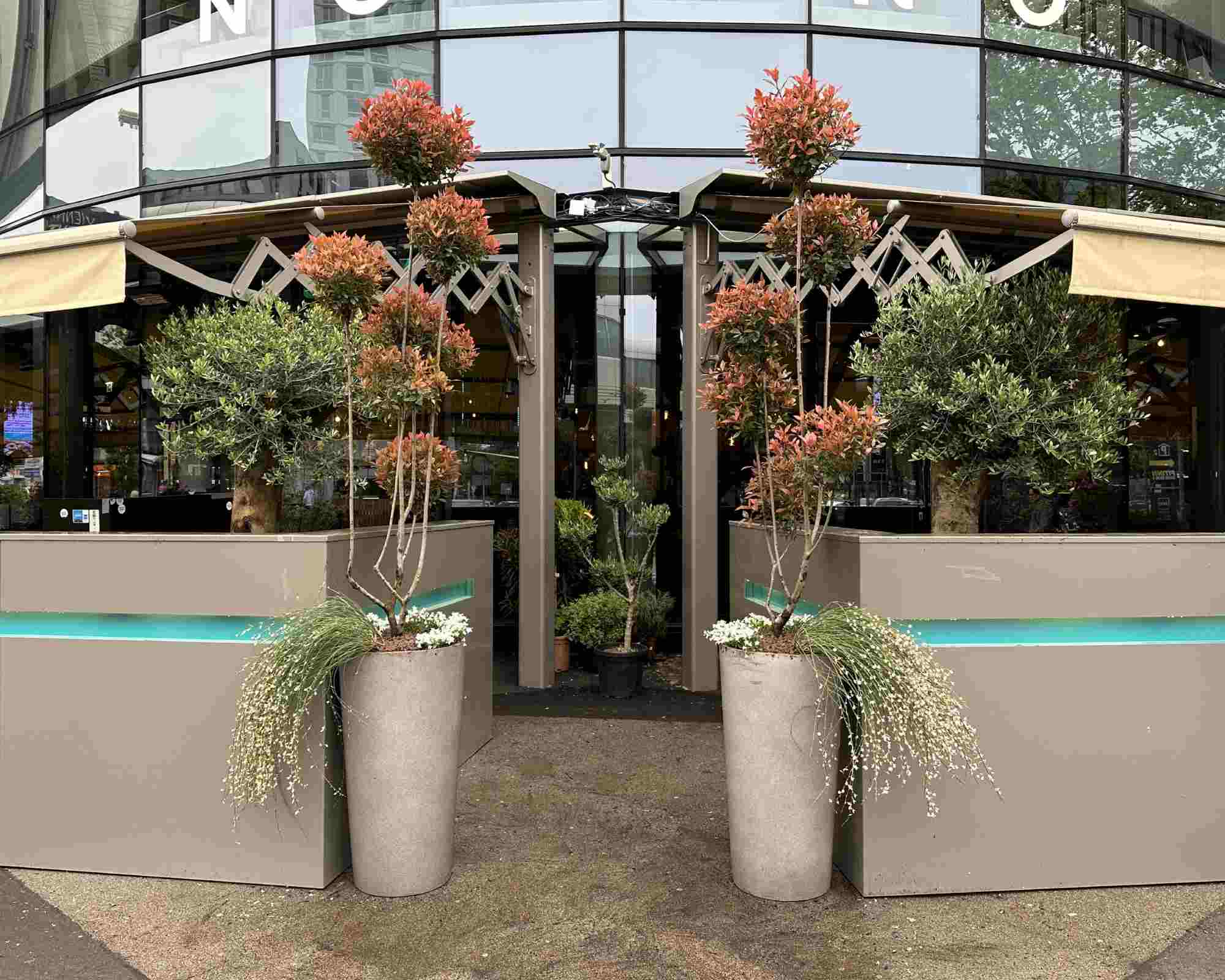 Eingangsbereich zur Terrasse mit zwei großen Pflanzkübeln und bepflanztem Rankgerüst