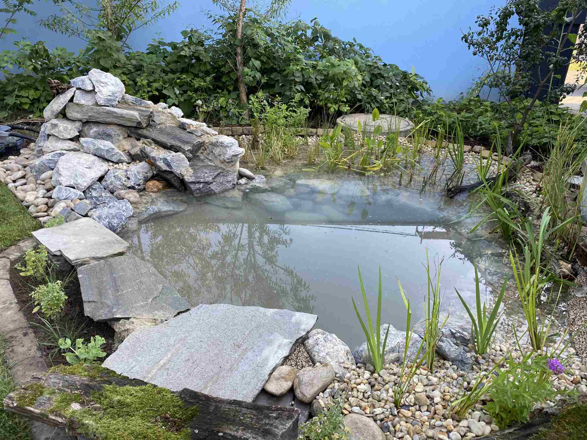 Natürlicher Garten mit Biotop, großen Steinen und Wasserfläche