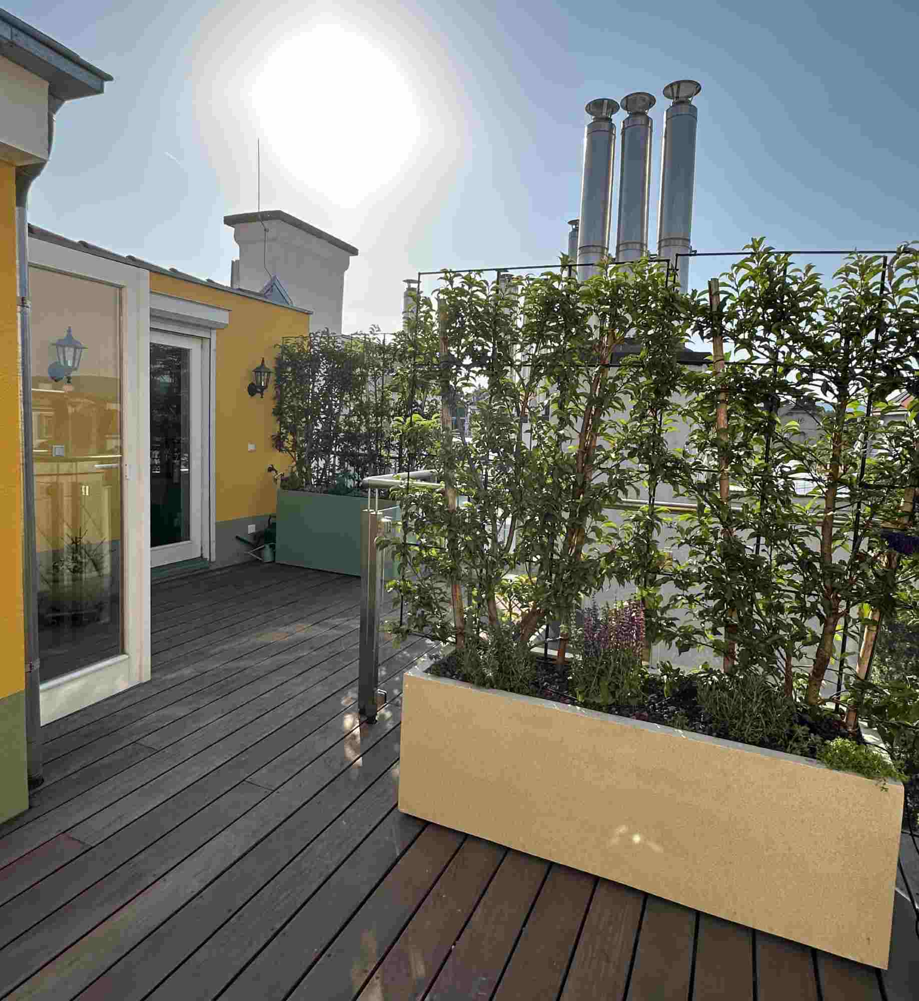Dachterrasse mit Holzbelag und grüner Sichtschutzbepflanzung in Pflanzkübeln