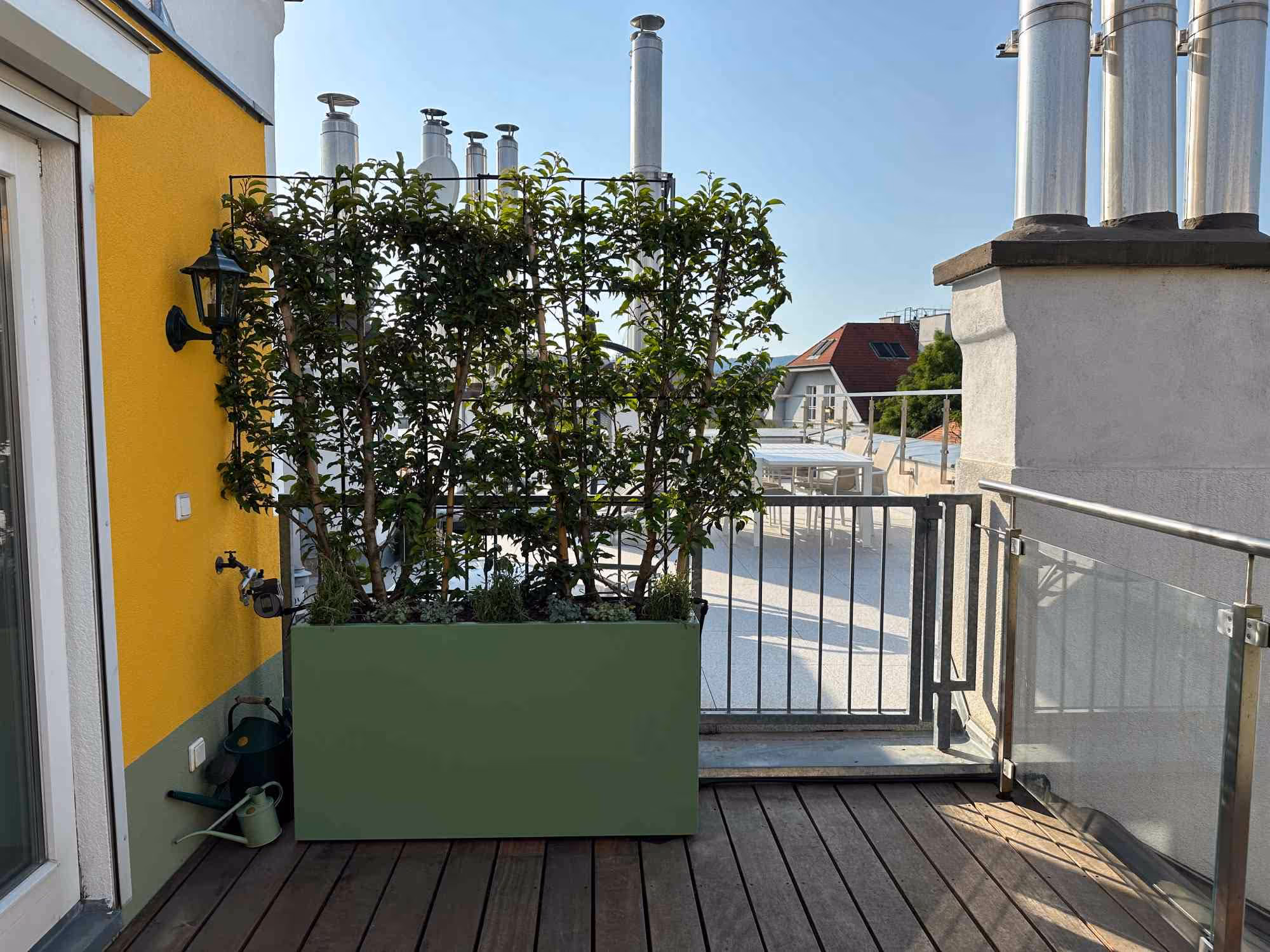 Dachterrasse mit grünen Pflanzgefäßen und dichtem Sichtschutz