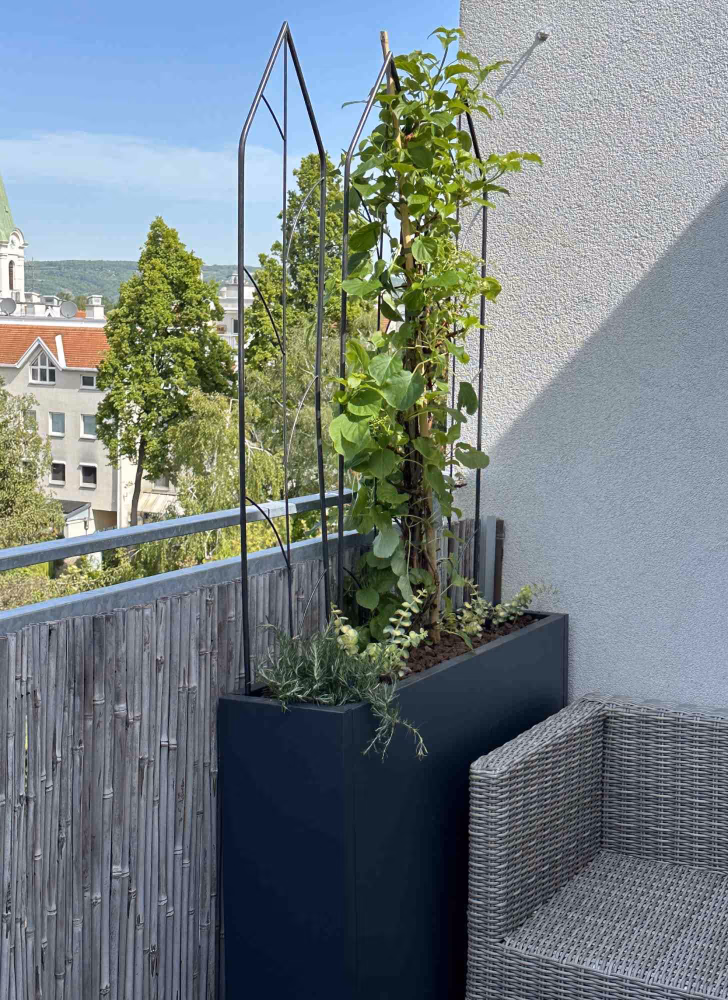 Maßgefertigter schwarzer Pflanzkübel aus Aluminium