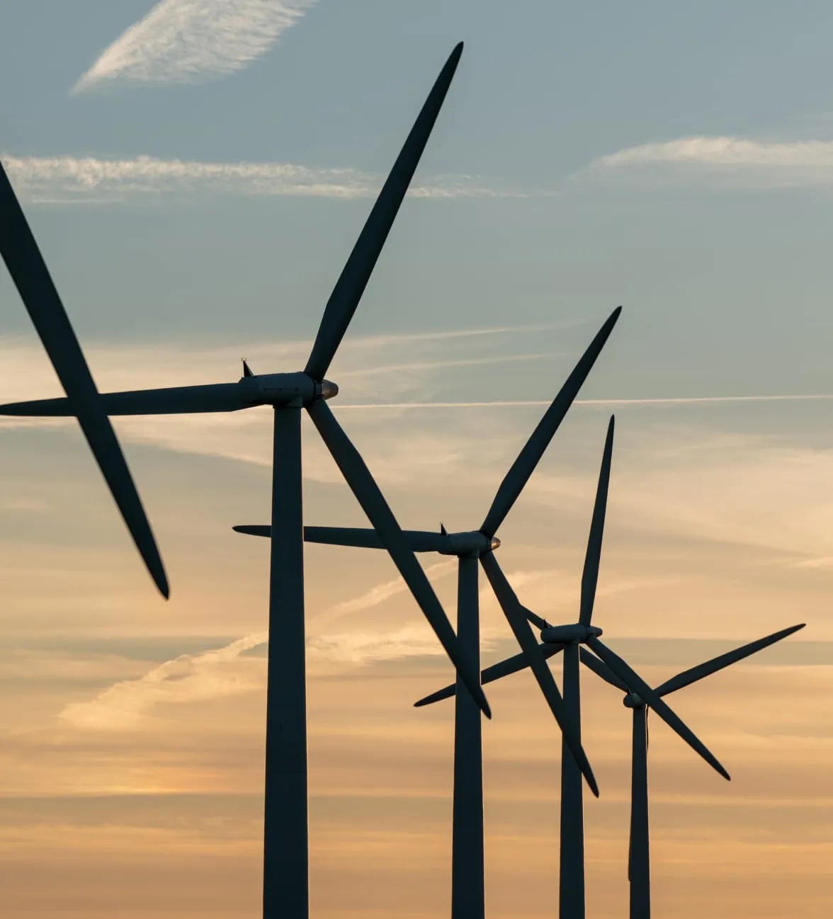 wind farm with sun set