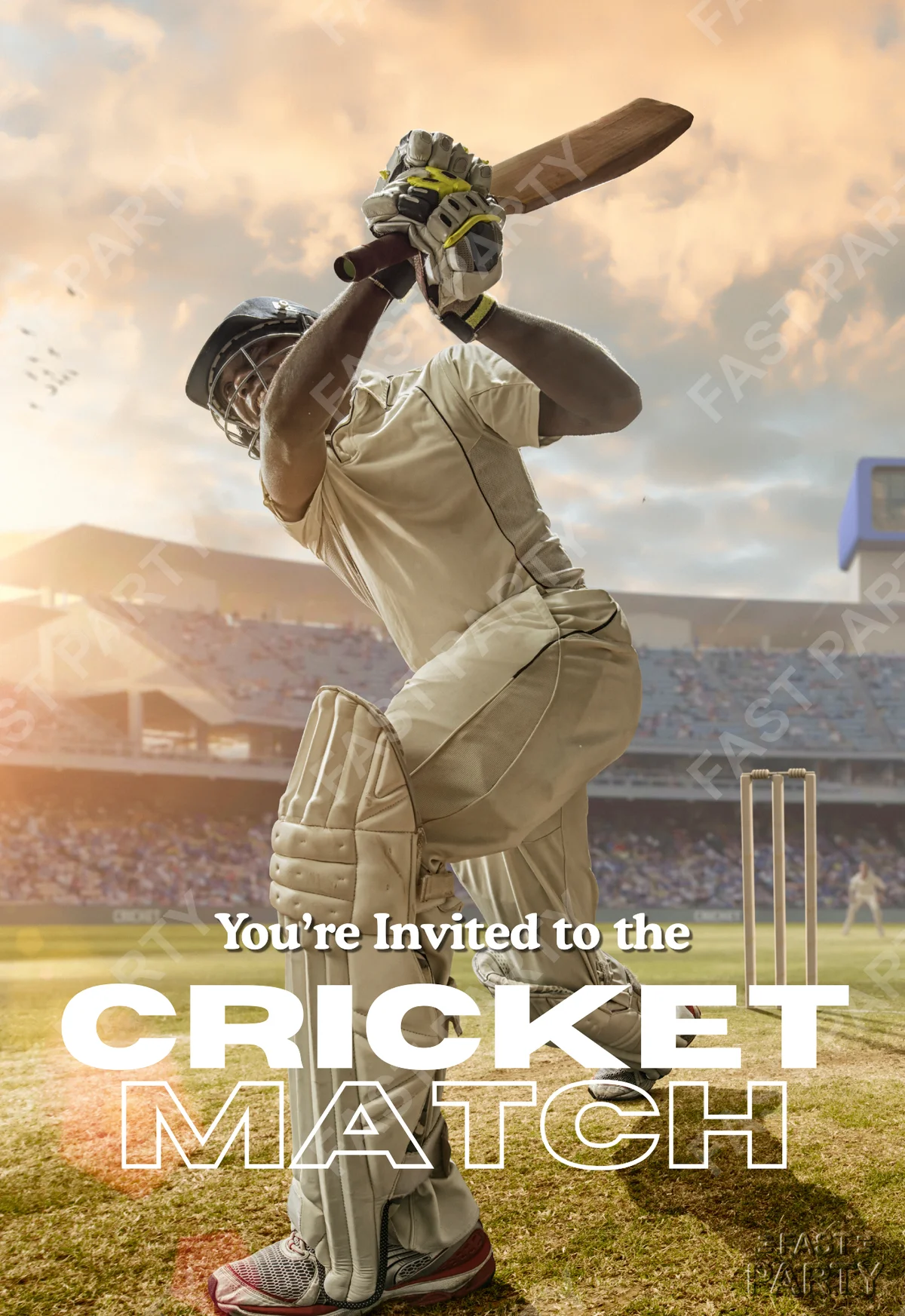 Cricket Match