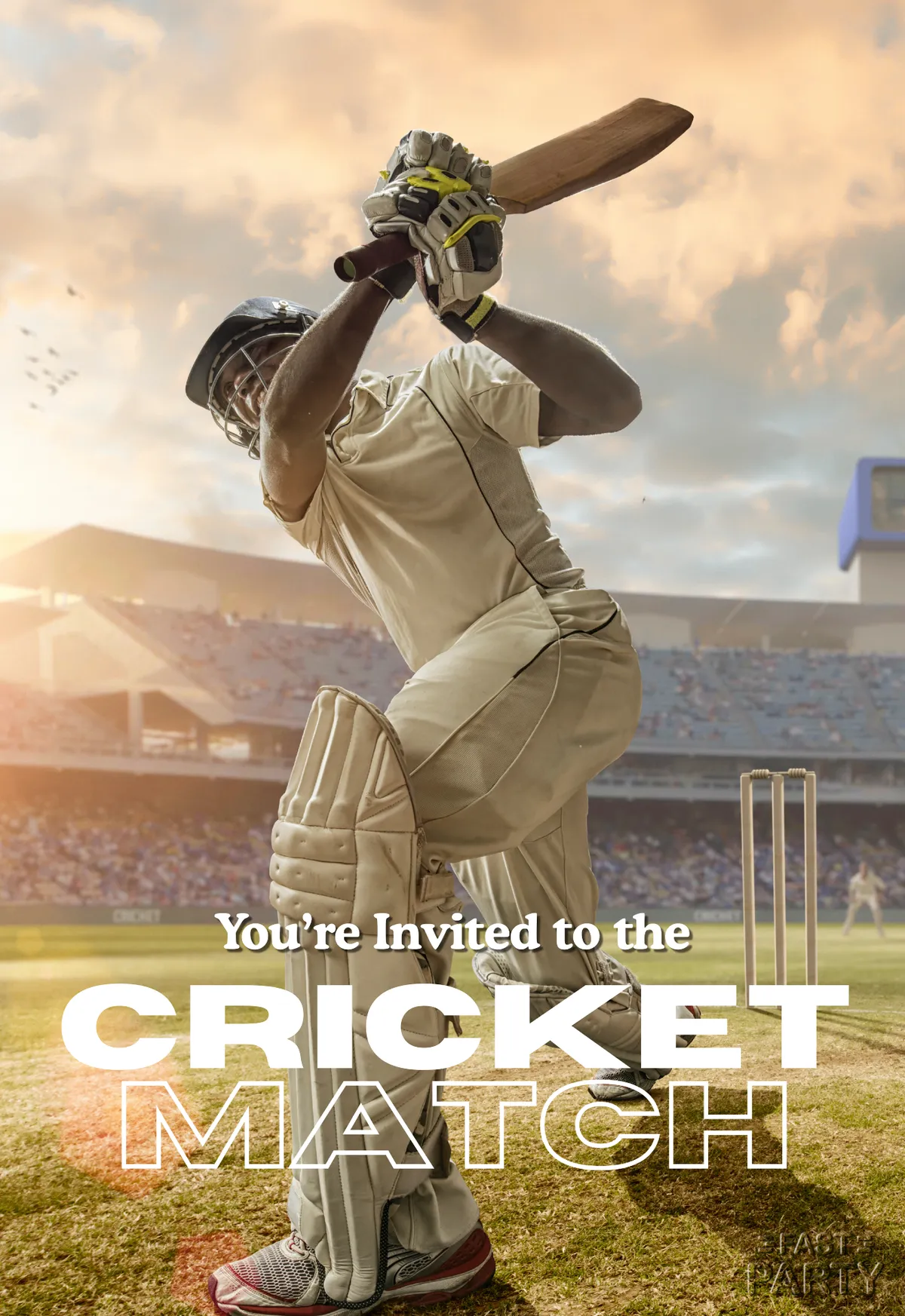 Cricket Match — Batsman in the Stadium