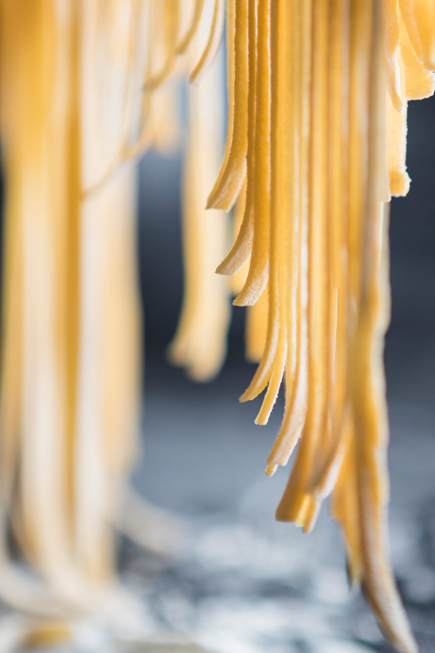 Fresh pasta strands hanging to dry