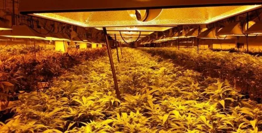 Farm case study