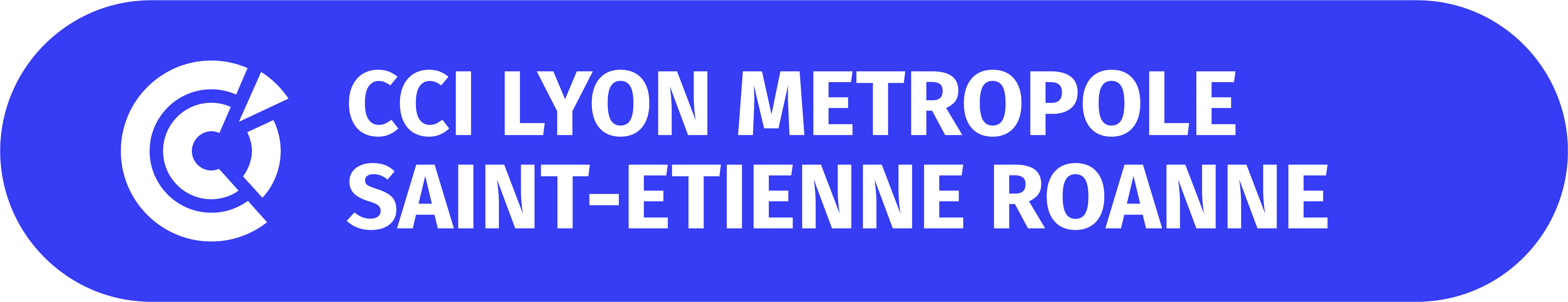 CCI Lyon-Roanne-St Etienne