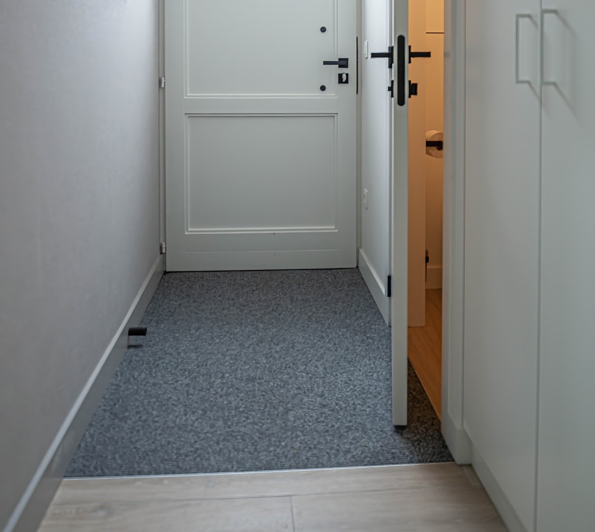 Hal met witte deur en grijs tapijt naast houten vloer
