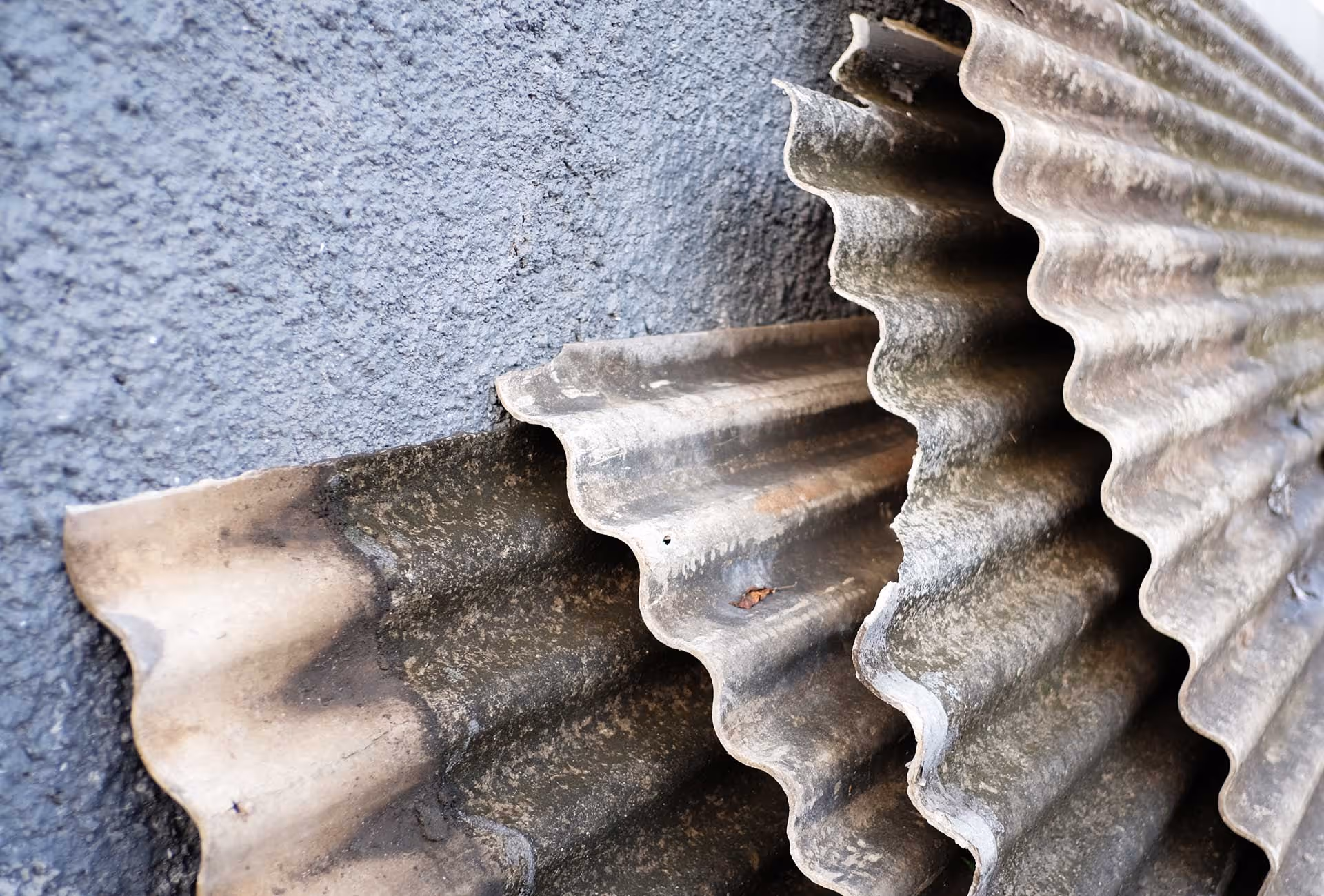 Asbestos Surveys Brighton