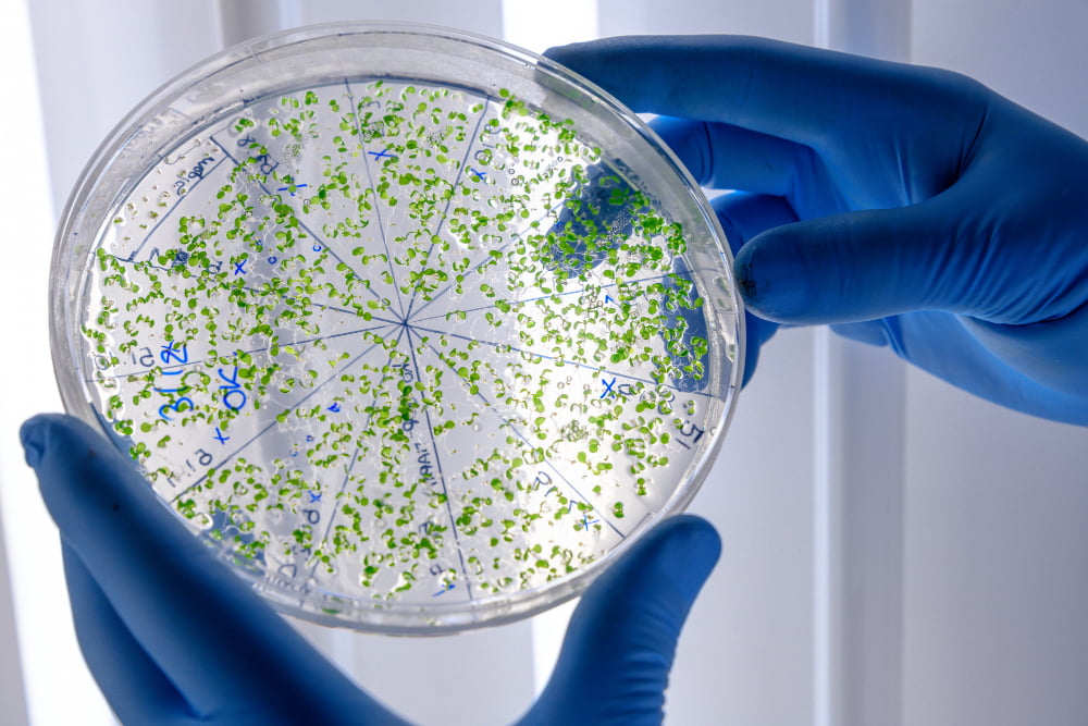 Legionella Risk Assessments