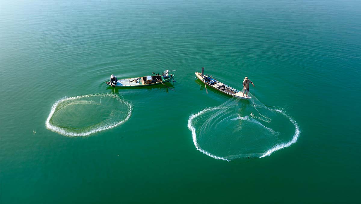 The Nets Are Breaking: A Year of Breakthrough