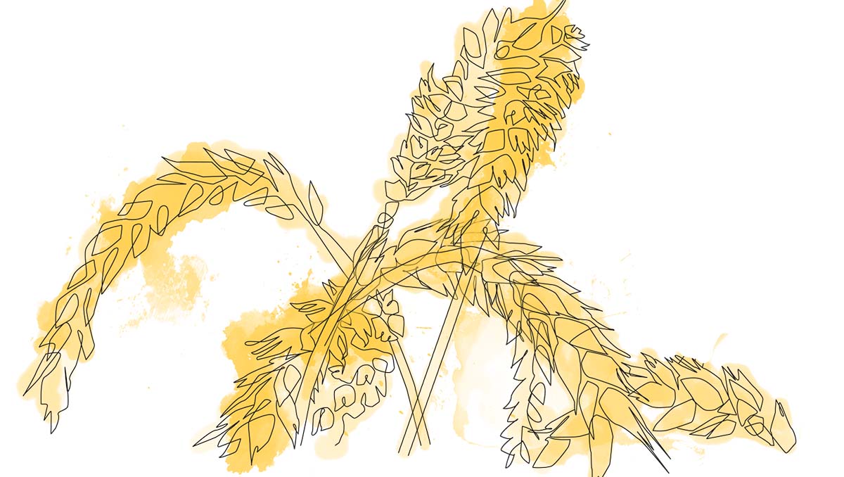 Shavuot Prayer Guide