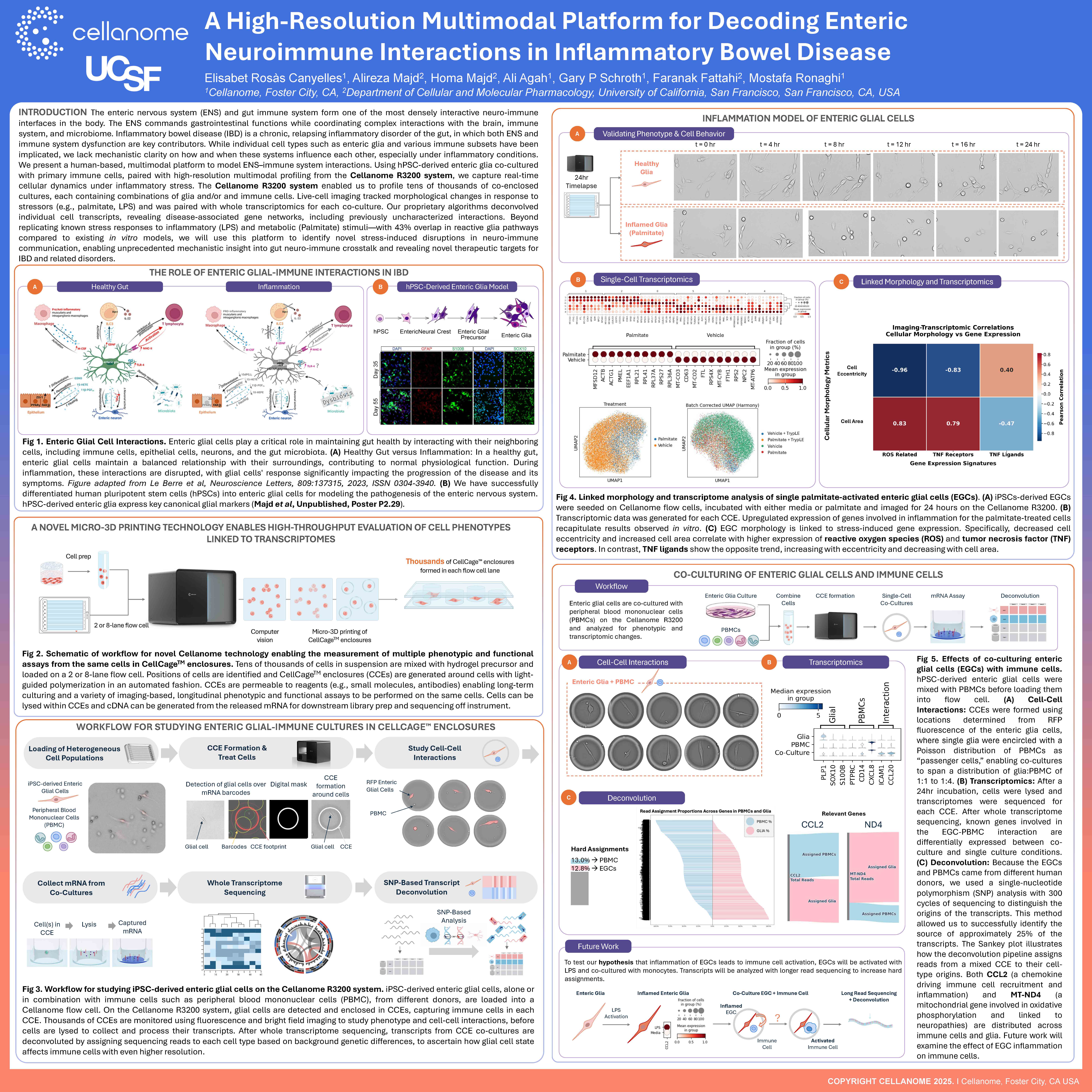 A High-Resolution Multimodal Platform for Decoding Enteric Neuroimmune Interactions in Inflammatory Bowel Disease