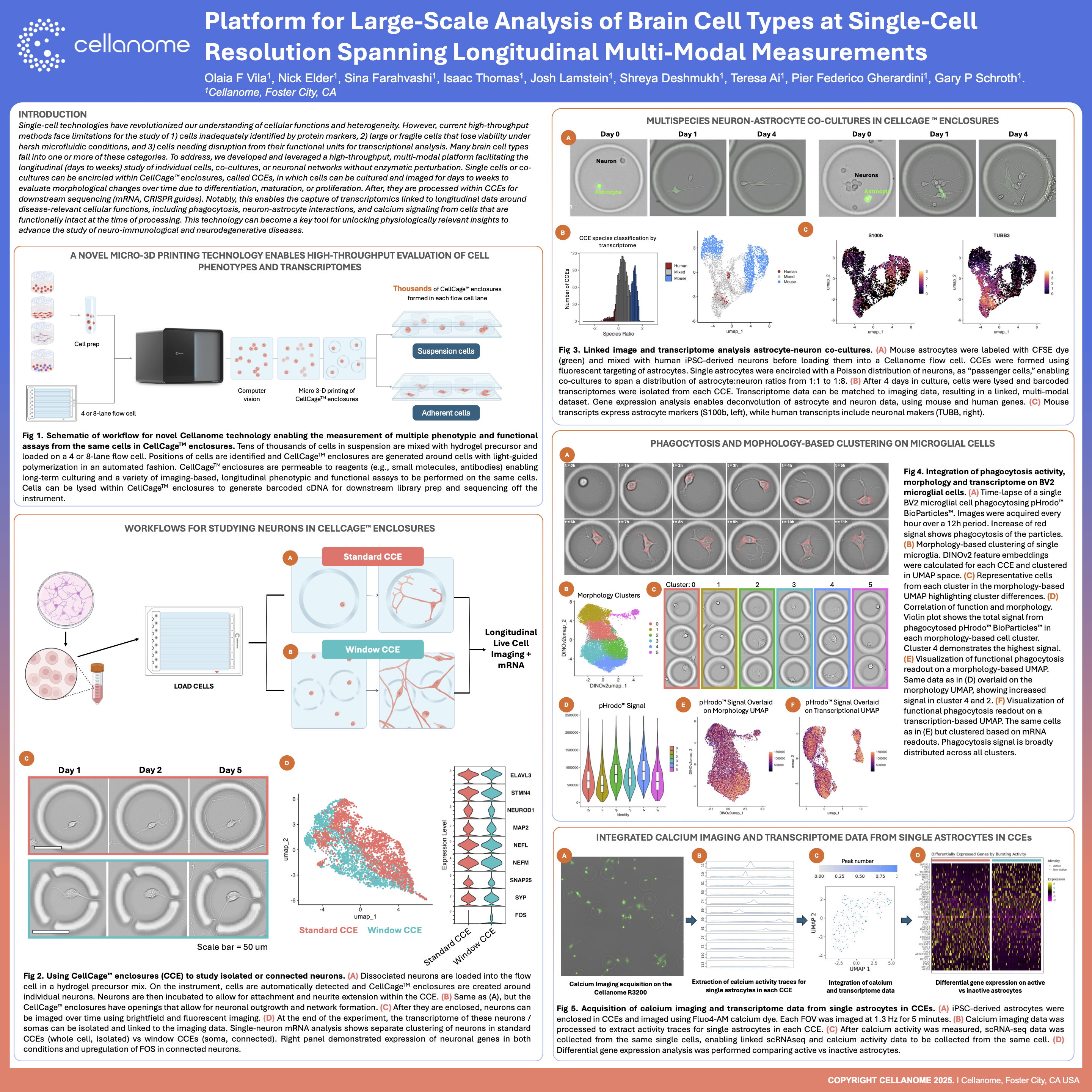 Platform for Large-Scale Analysis of Brain Cell Types at Single-Cell Resolution Spanning Longitudinal Multi-Modal Measurements