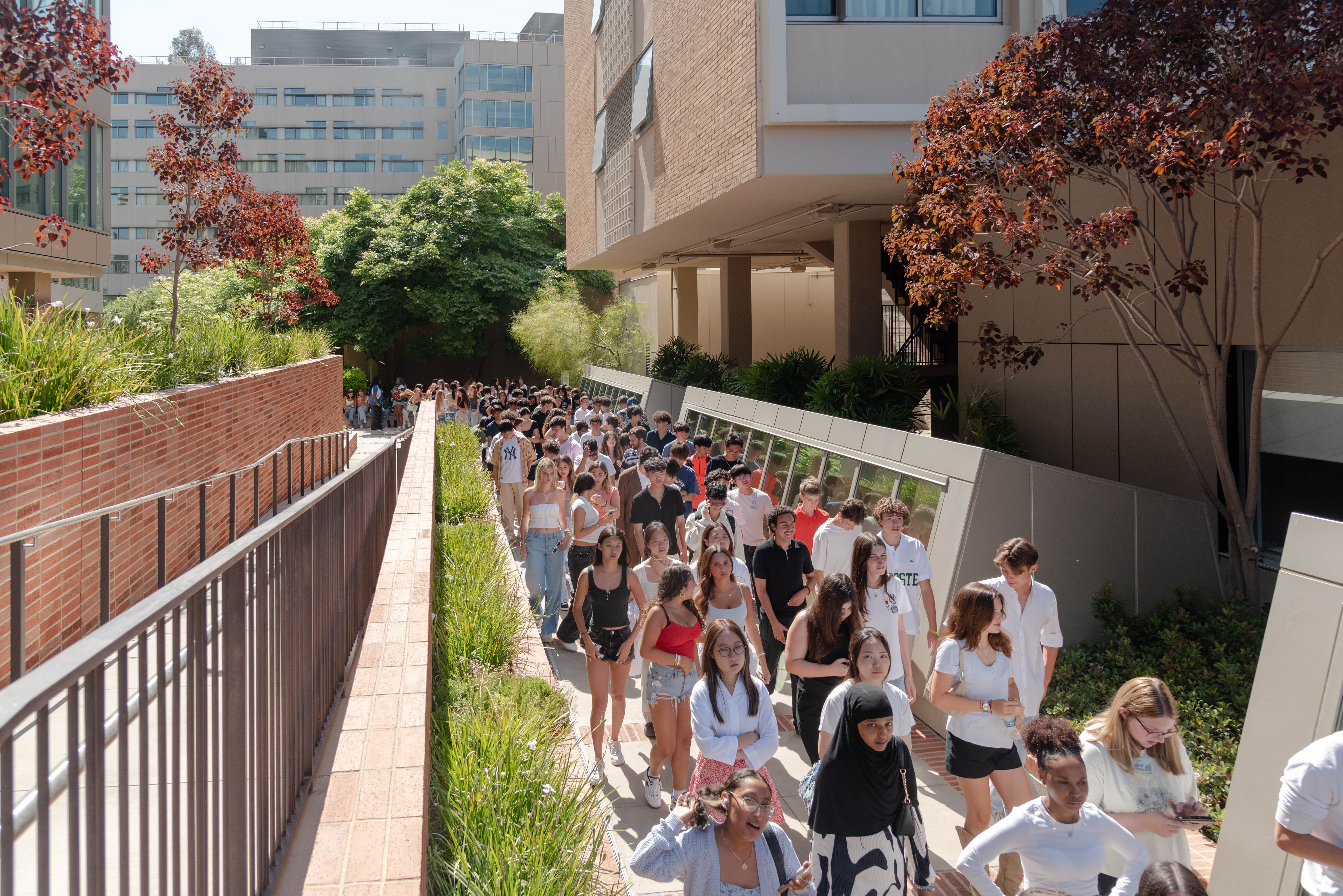 Summer Discovery 24 UCLA 8-min
