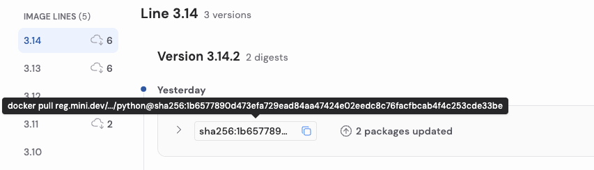 Container workload pinned to a specific Minimus image digest to ensure only a tested, reviewed image is deployed.