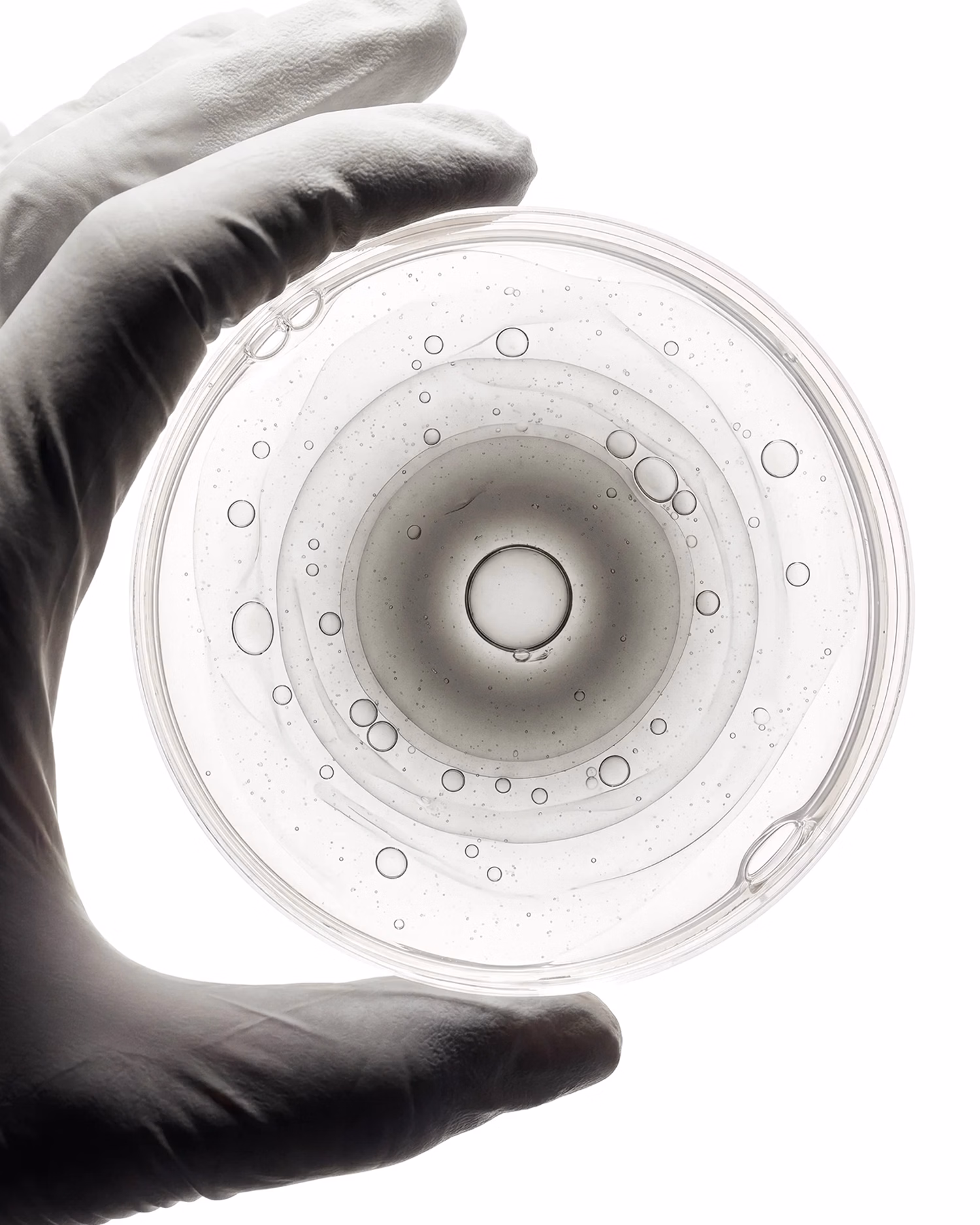 Gloved hand holding a petri dish