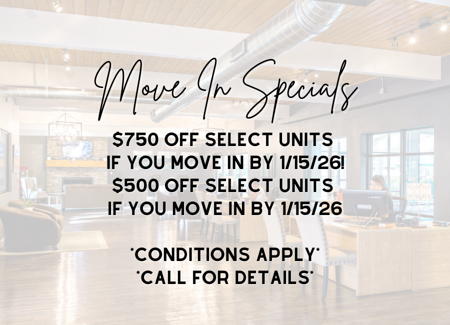 Move In Special 