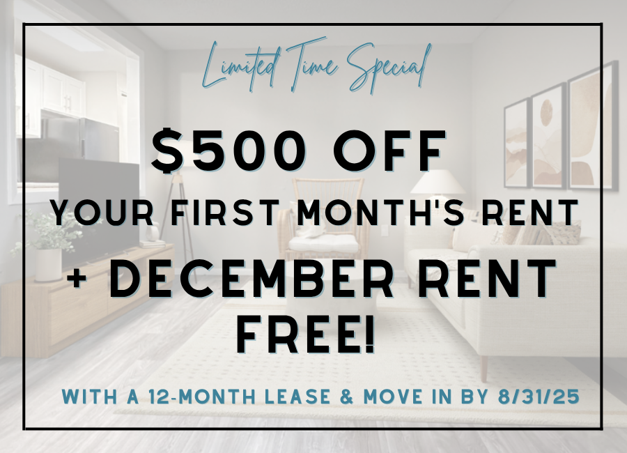 Renovation Special 