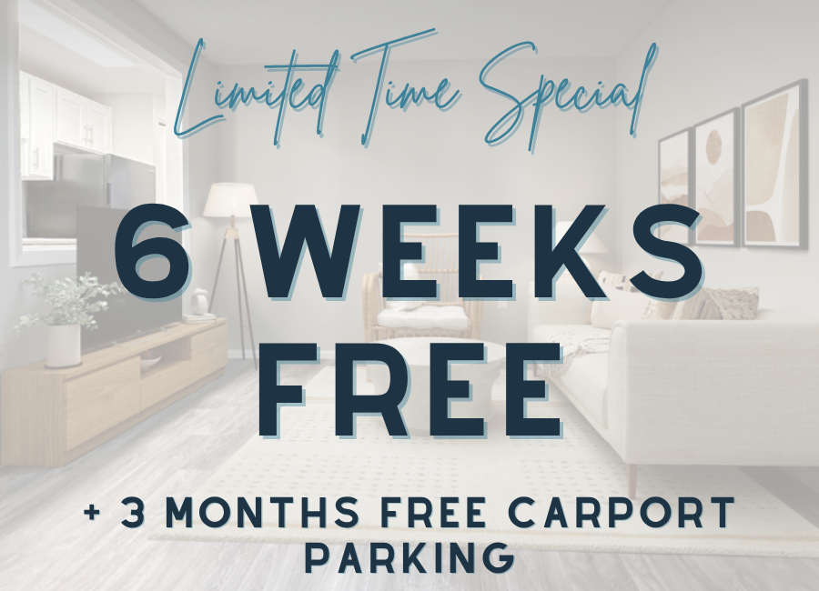 6 weeks free Special image