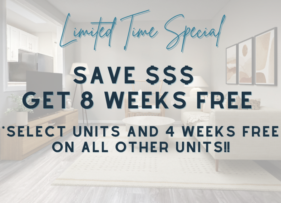 6 weeks free Special image