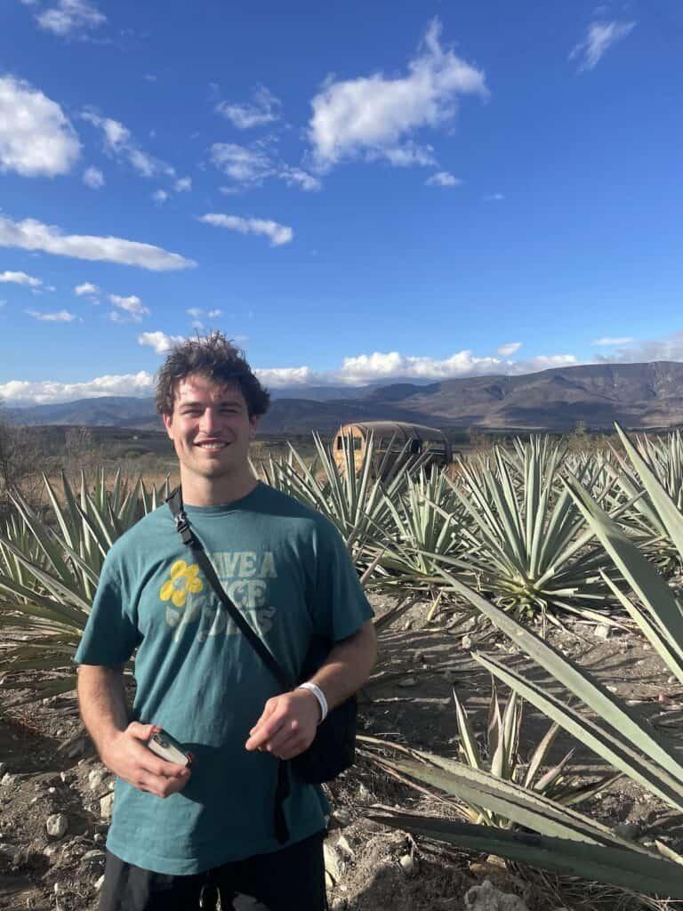 https://studenttraveltips.co.uk/wp-content/uploads/2023/04/must-visit-places-in-oaxaca-studenttraveltips.co_.uk-1-768x1024.jpeg