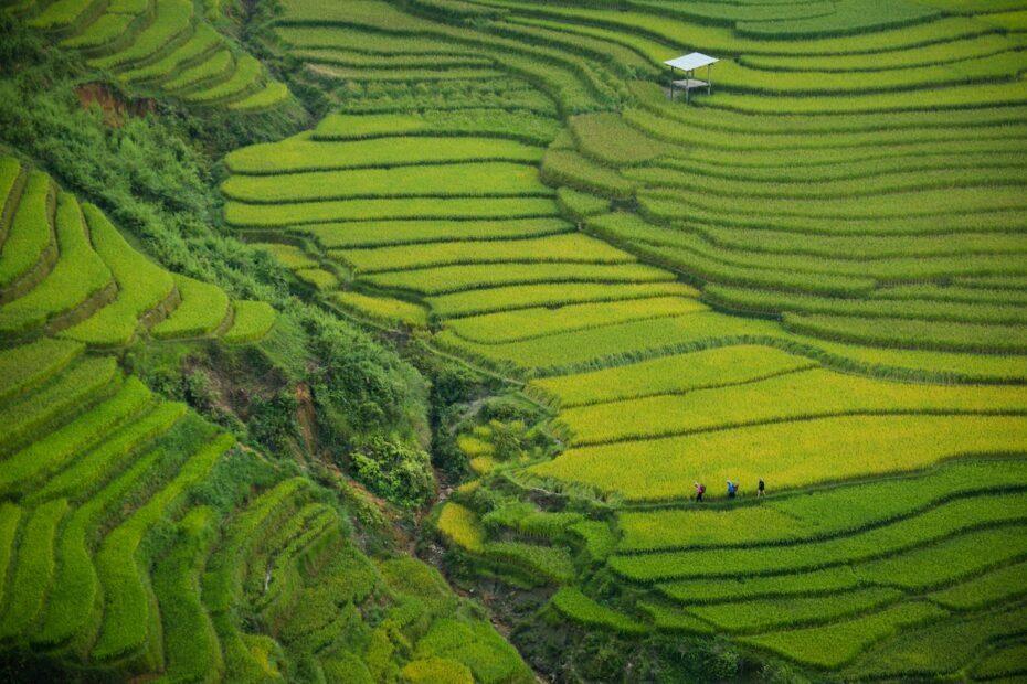 https://studenttraveltips.co.uk/wp-content/uploads/2021/02/vietnam-studenttraveltips.co_.uk-3-930x620.jpg
