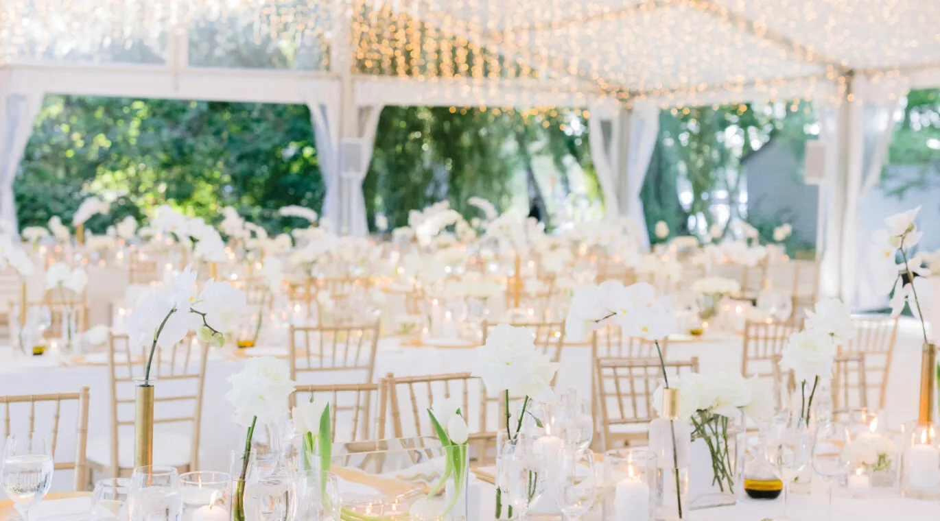cute wedding setup outside with chairs white and green