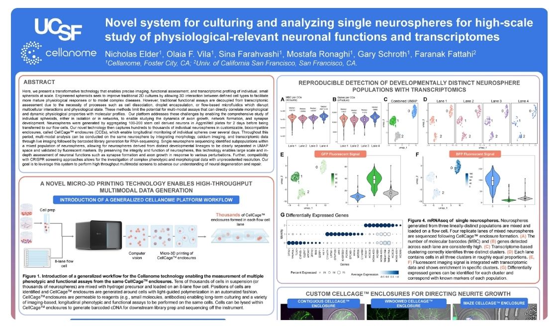 Novel system for culturing and analyzing single neurospheres for high-scale study of physiological-relevant neuronal functions and transcriptomes