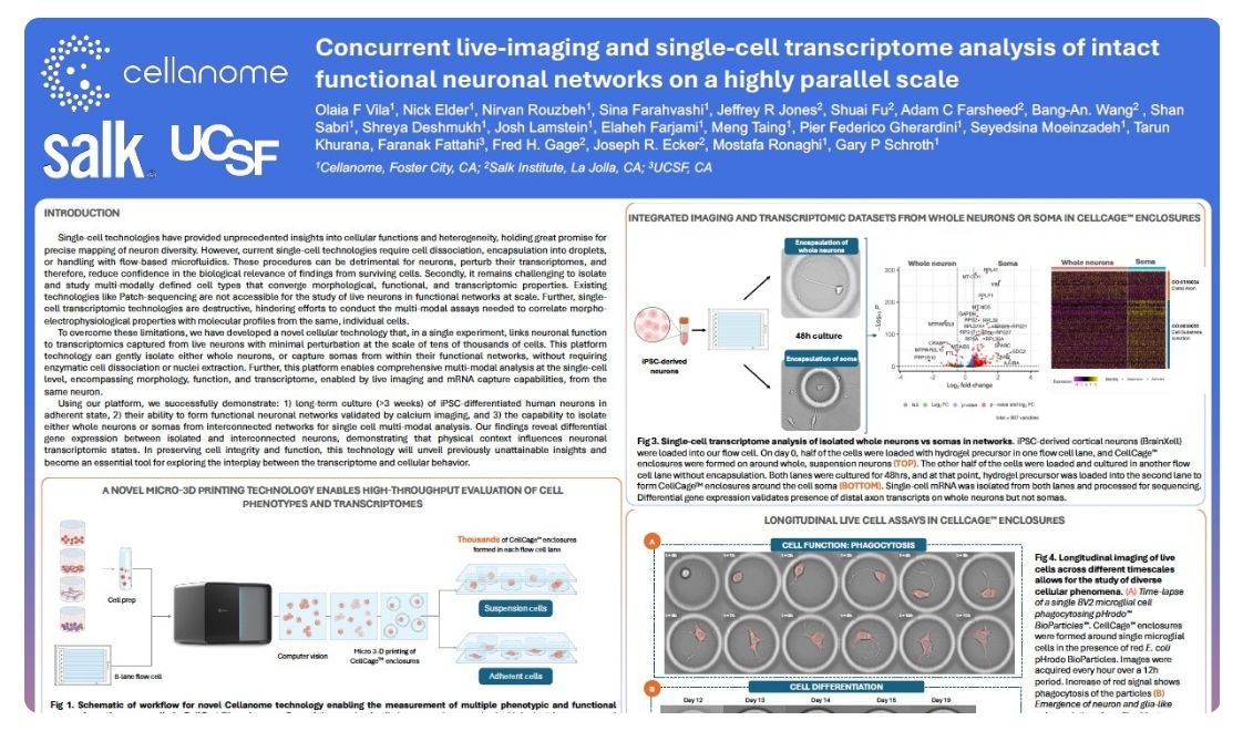 Concurrent live-imaging and single-cell transcriptome analysis of intact functional neuronal networks on a highly parallel scale