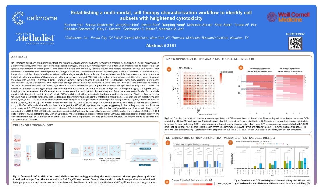 Establishing a multi-modal, cell therapy characterization workflow to identify cell subsets with heightened cytotoxicity