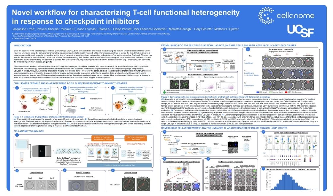 Novel workflow for characterizing T-cell functional heterogeneity in response to checkpoint inhibitors