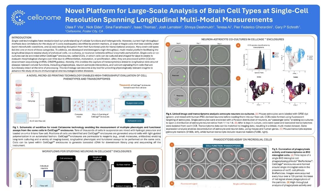 Novel platform for large-scale analysis of brain cell types at single-cell resolution spanning longitudinal multi-modal measurements
