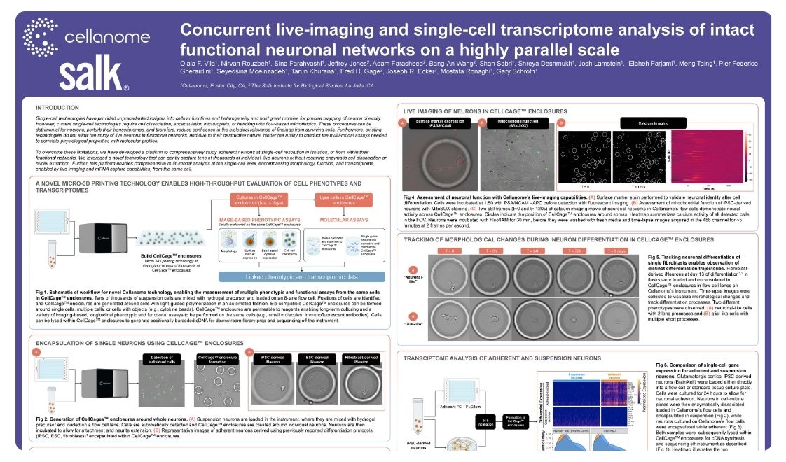 Concurrent live-imaging and single-cell transcriptome analysis of intact functional neuronal networks on a highly parallel scale