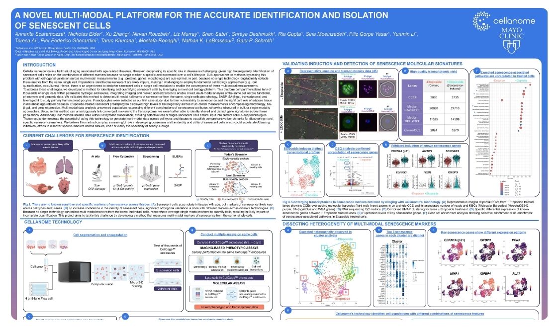 A novel multi-modal platform for the accurate identification and isolation of senescent cells