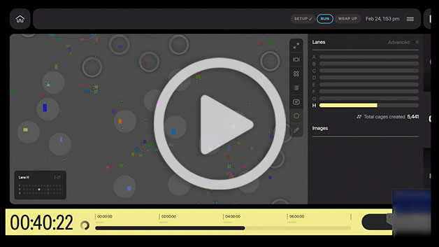 CellCageTM Enclosures: Adherent Cells